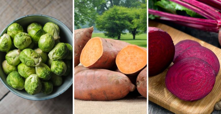 9 Vegetables That Nutritionists Swear By—and 5 They Say You Could Skip Without Missing Much