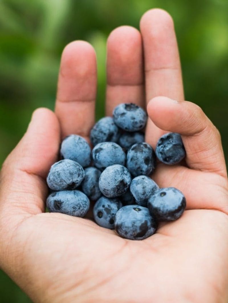 Blueberries