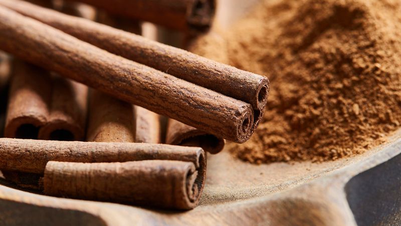 Spicy Cinnamon: Blood Sugar Balancing Wonder