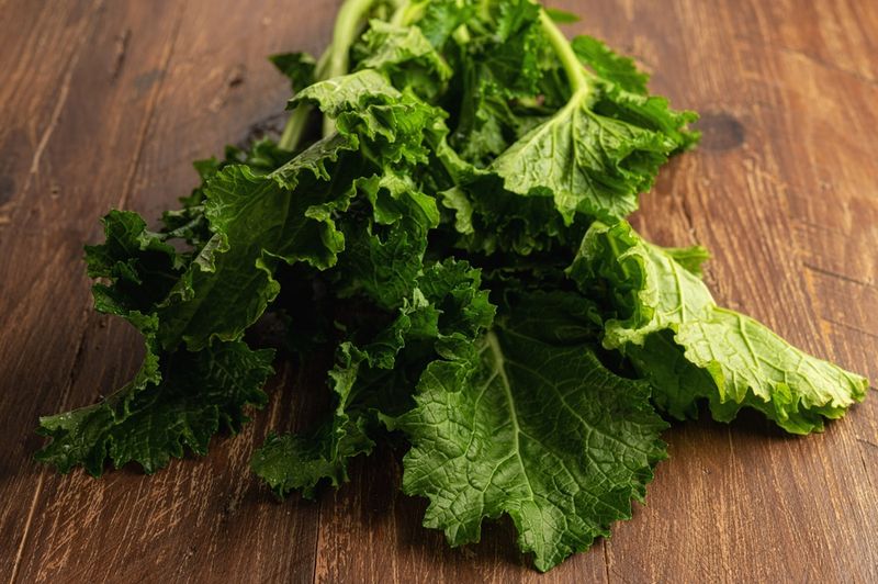 Turnip Greens: The Calcium-Loaded Leafy Tops