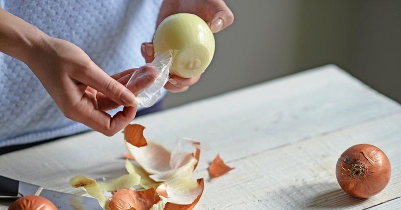 Onion Skins