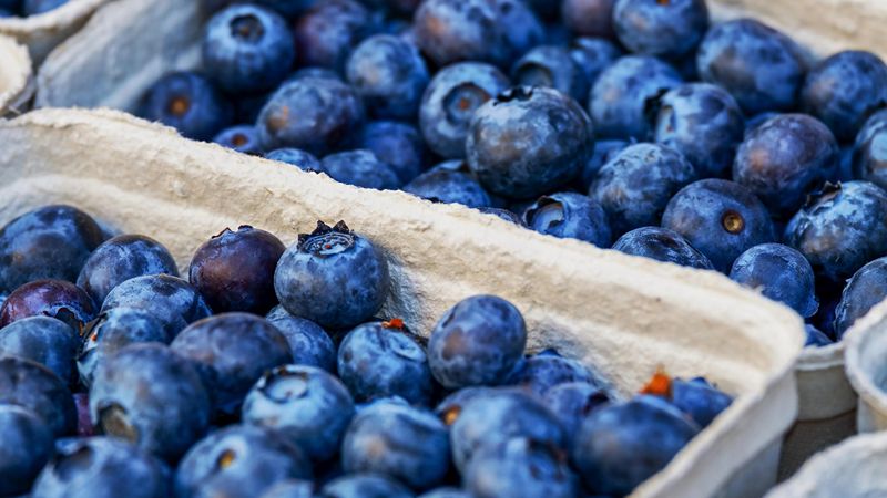 Blueberries