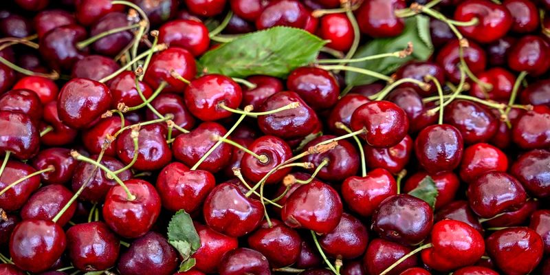 Cherry