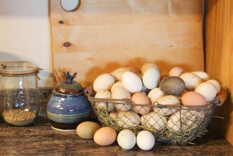 Eggs