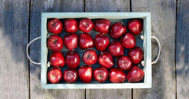Apples