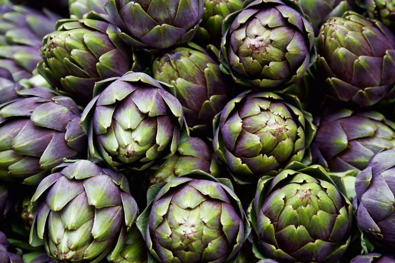 Artichokes: The Fiber-Filled Flower Buds