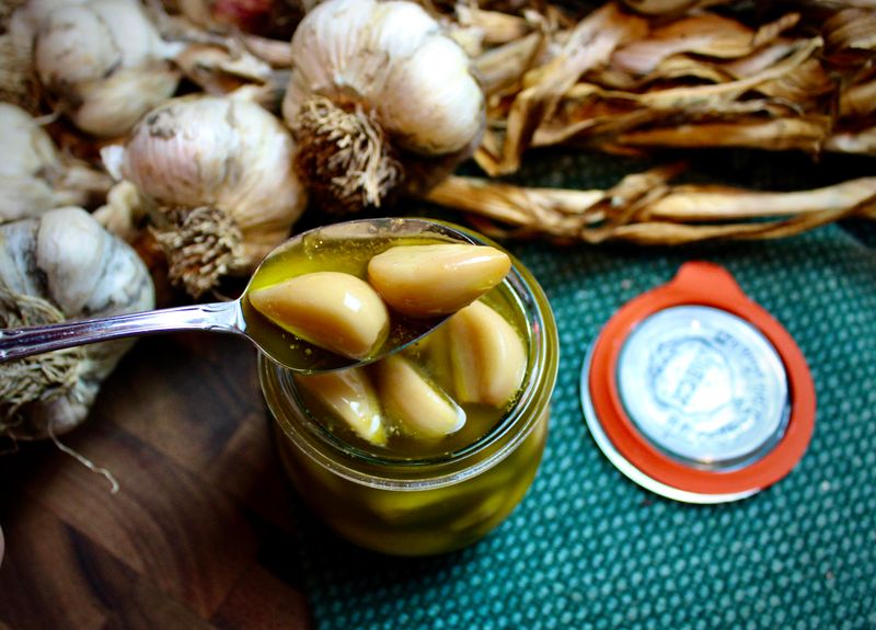 Garlic