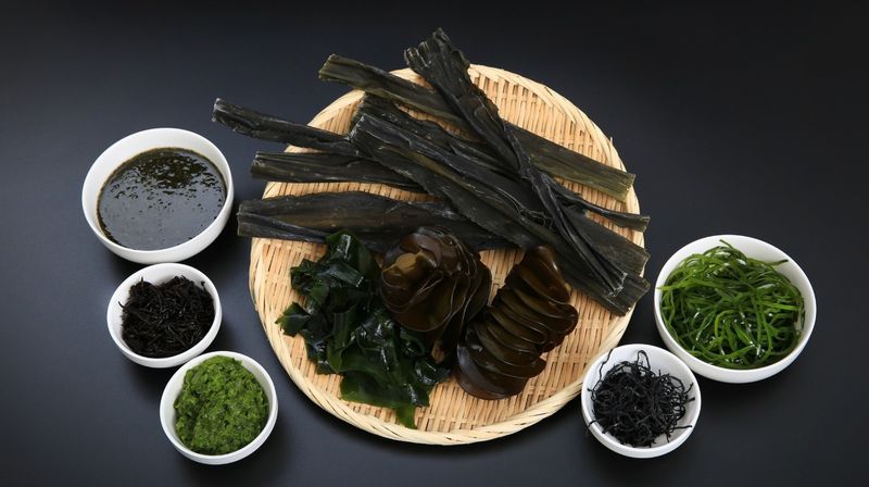 Seaweed: The Ocean's Green Gift