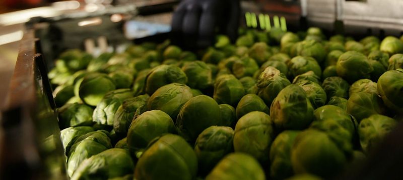 Belgium's Brussels Sprout Tossing Technicality