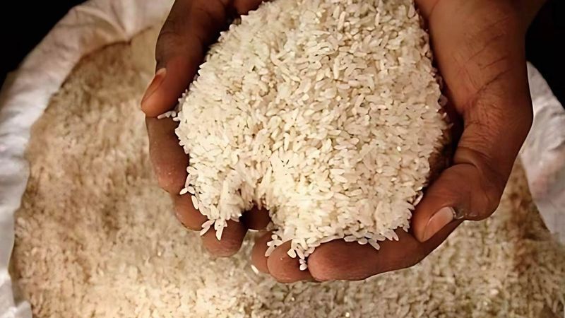 Rice