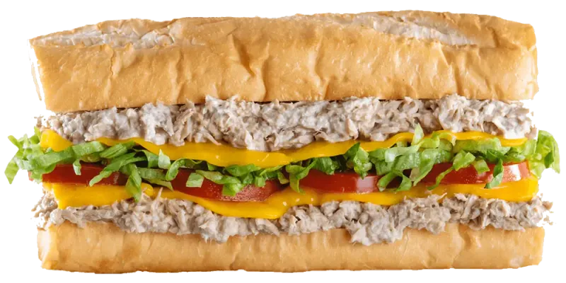 Which Wich