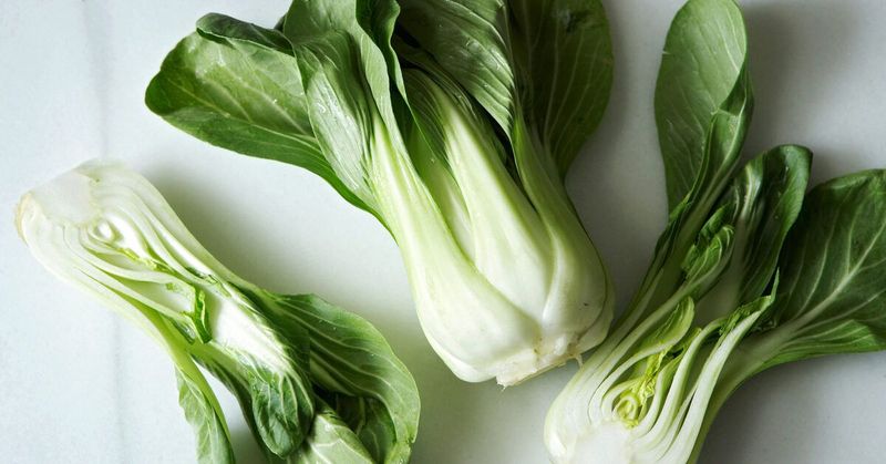 Bok Choy: The Calcium-Rich Asian Green
