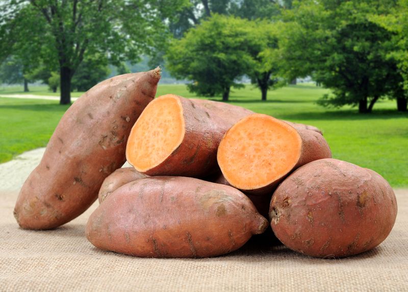 Sweet Potatoes: Nature's Candy with Benefits