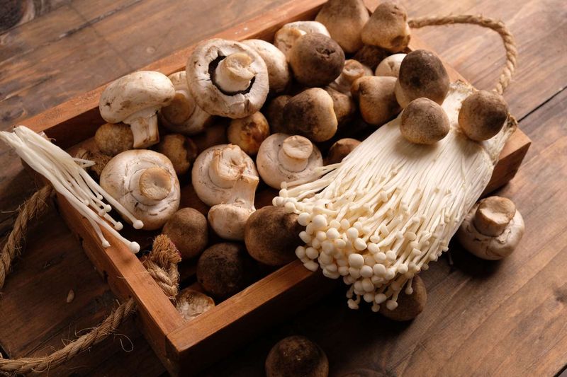 Mushrooms: The Vitamin D Fungi