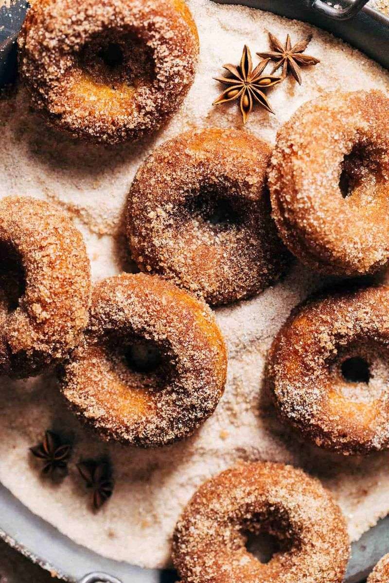 Cinnamon Spiced Apple Cider Donuts