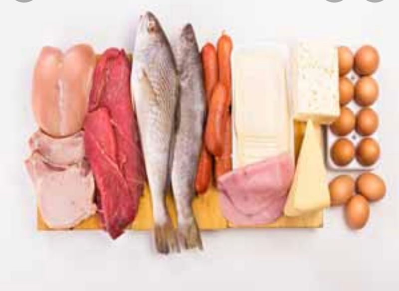 Animal Proteins