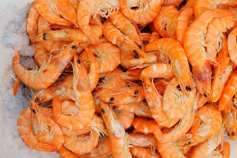 Shrimp