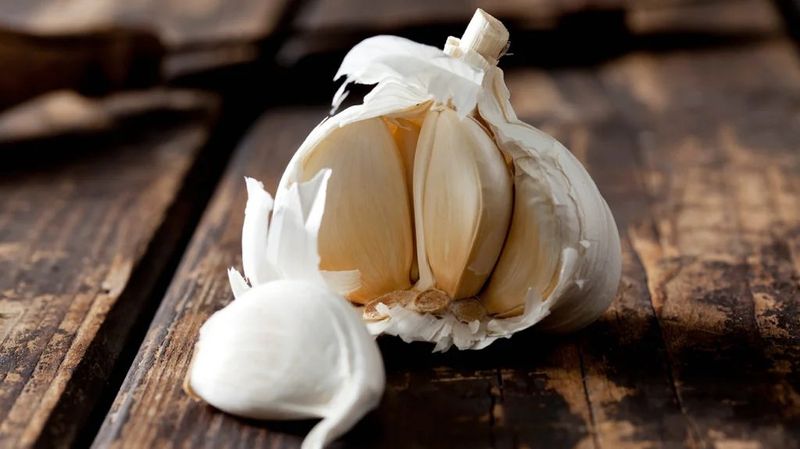 Garlic – Natural Medicine