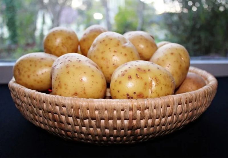 White Potatoes: The Processed Problem Child