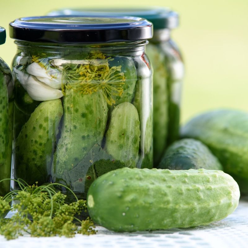 Crunchy Dill Pickles: The Zero-Carb Wonder