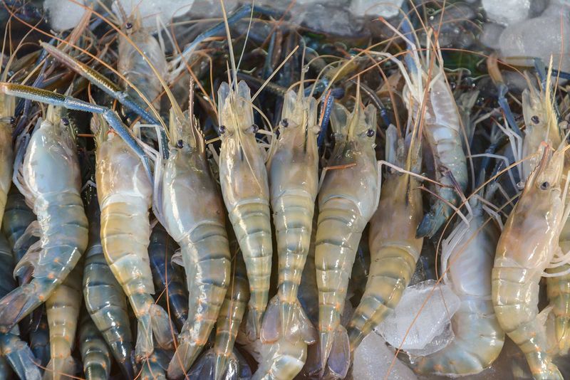 Imported Farmed Prawns