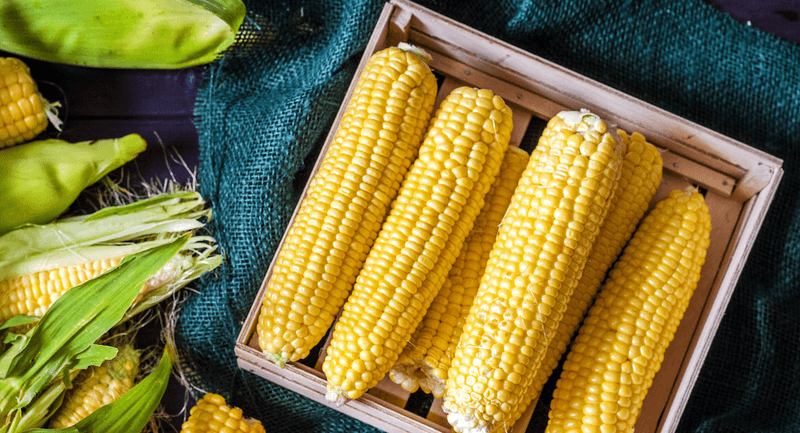 Corn