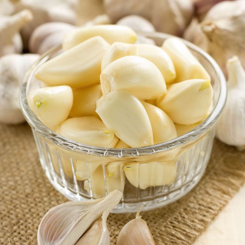 Garlic