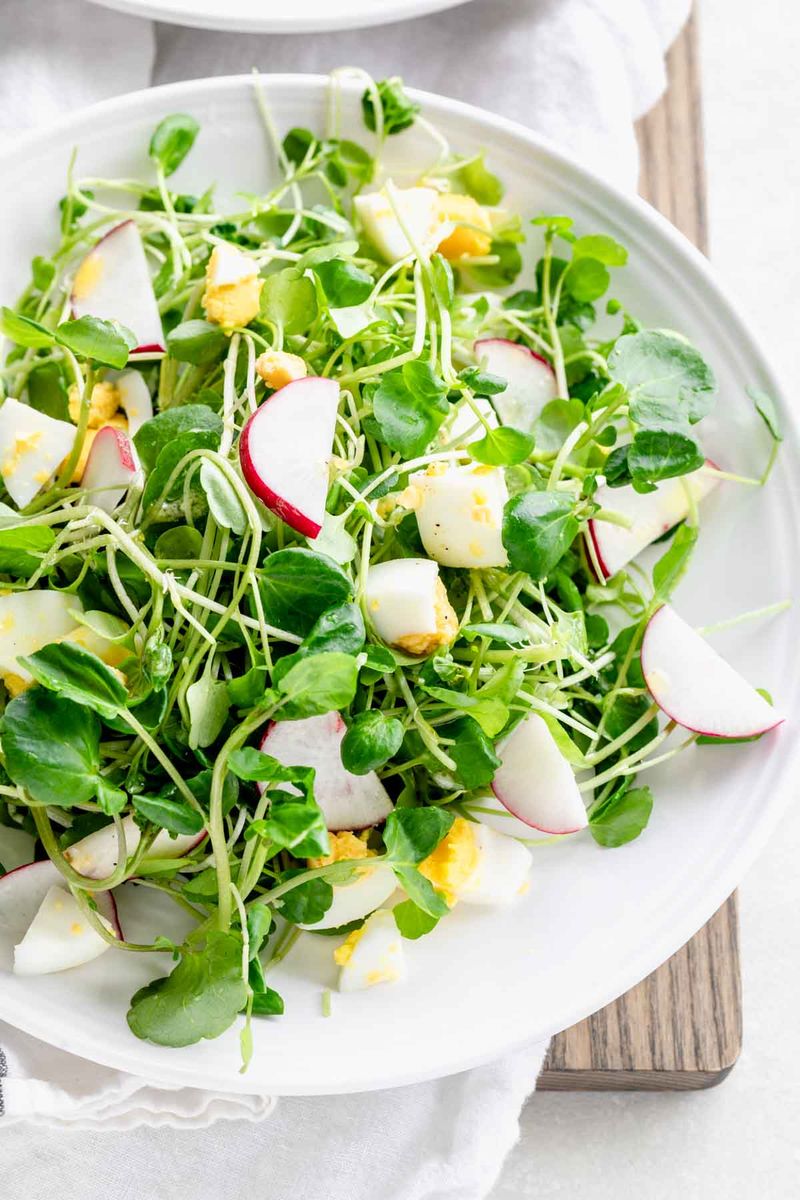 Watercress Salad with Warm Bacon Dressing
