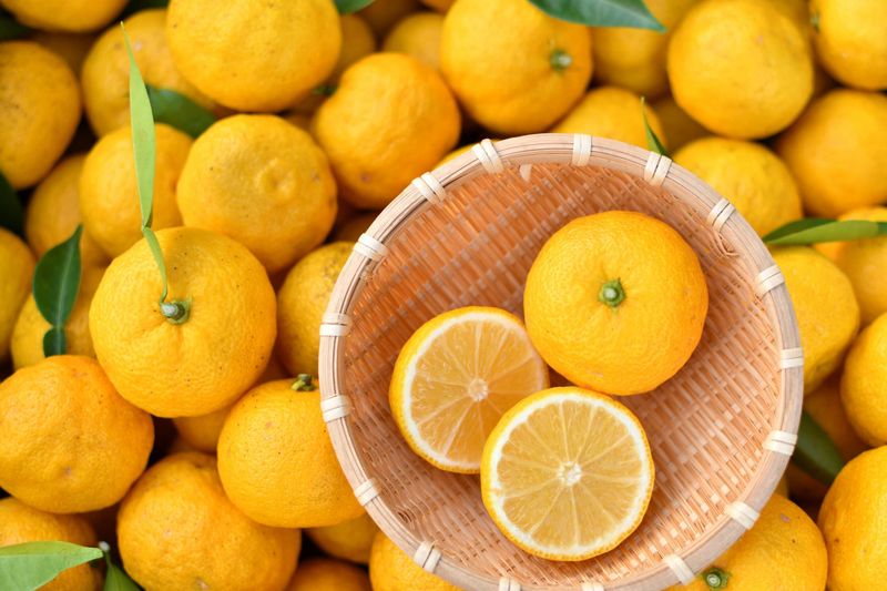Yuzu Mania Sweeps Kitchens