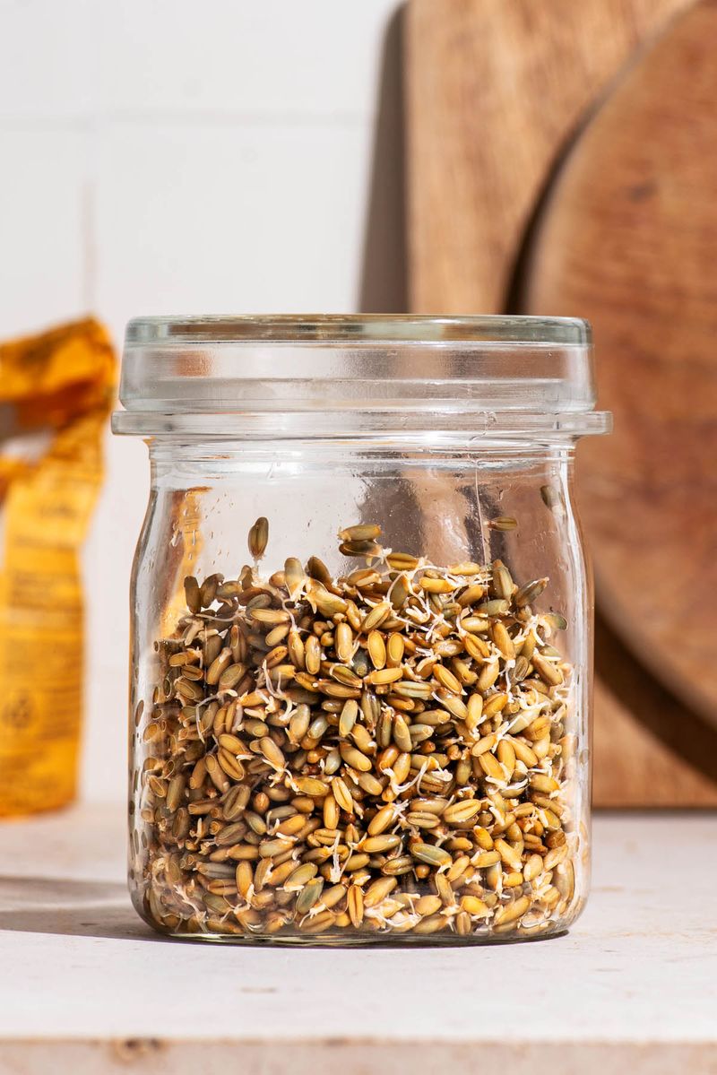 Sprouted Grains