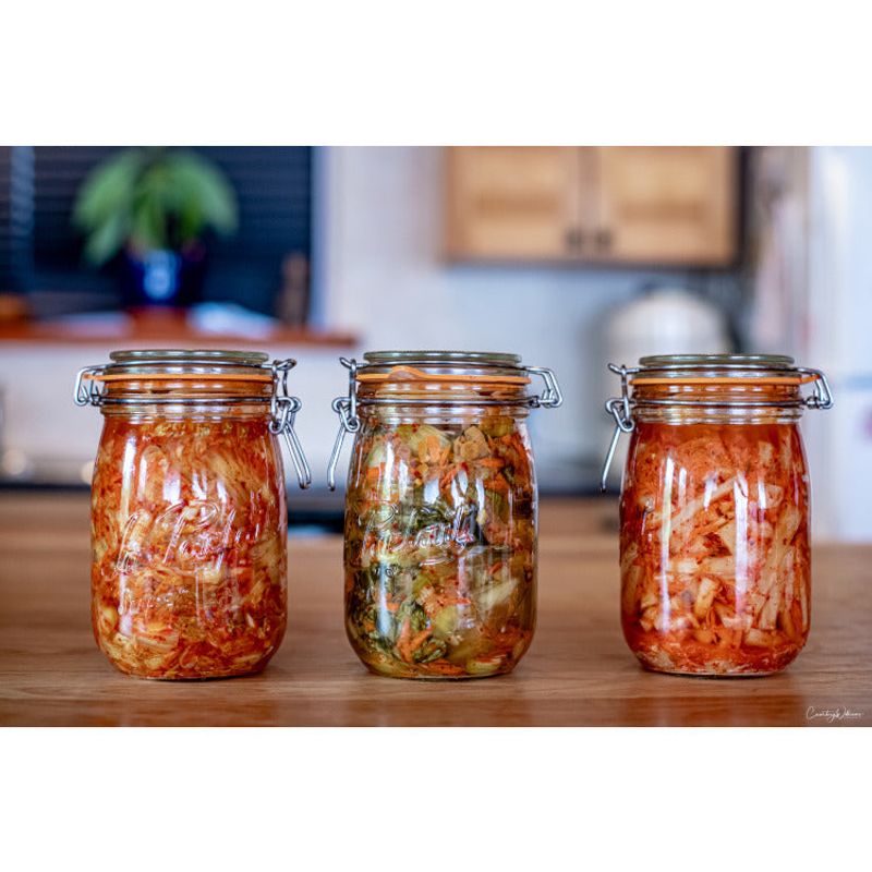 Fermented Everything Revolution