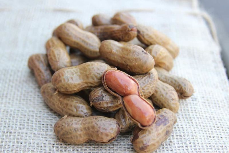 Boiled Peanuts – South Carolina