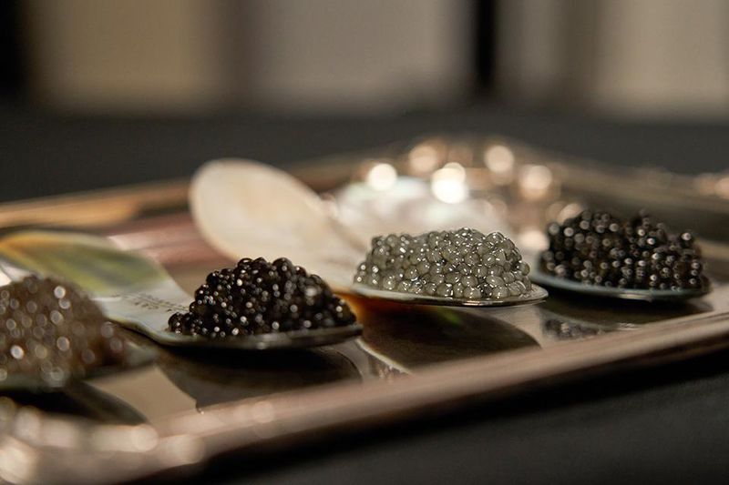 Caviar