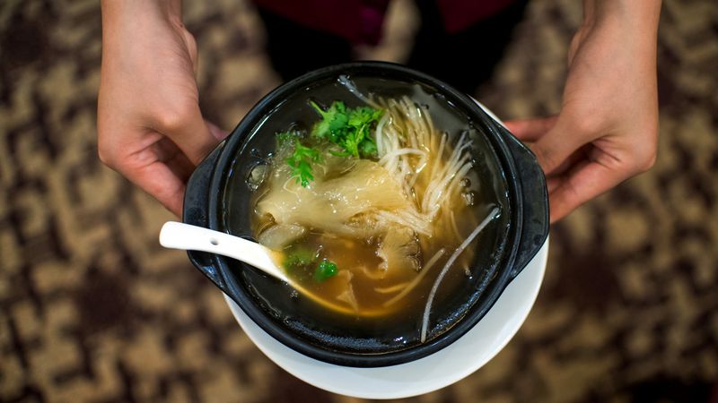 Shark Fin Soup