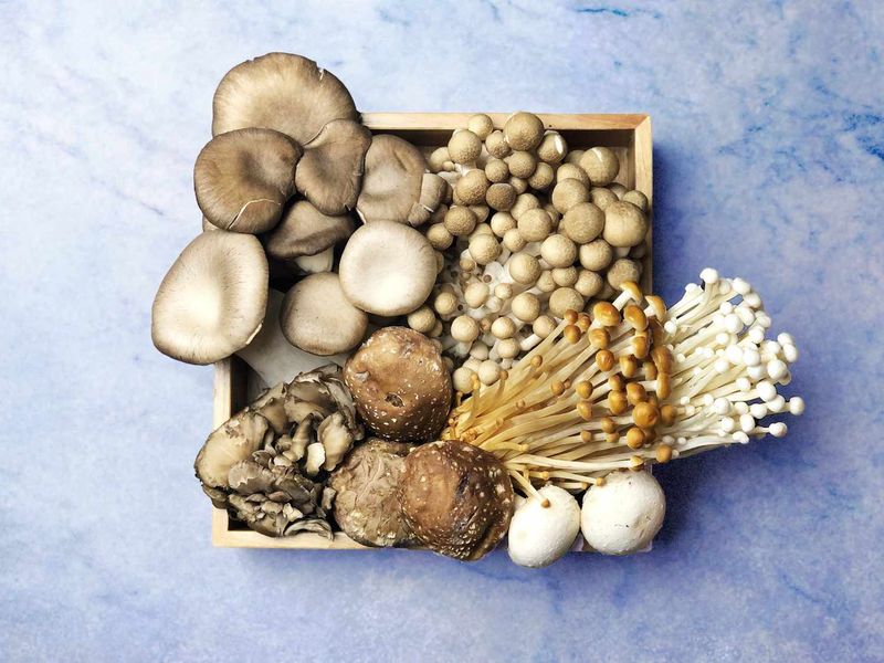Magical Mushrooms: Immune System Boosters