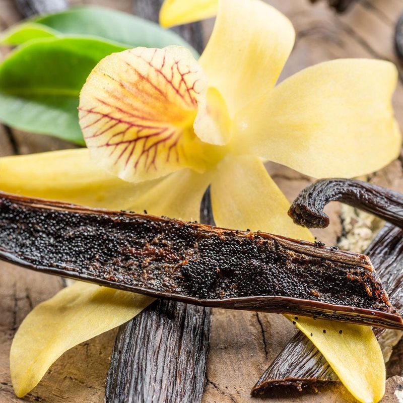 Vanilla