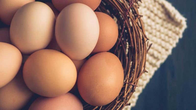 Brain-Nourishing Eggs