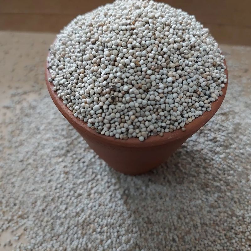 Hemp Seeds