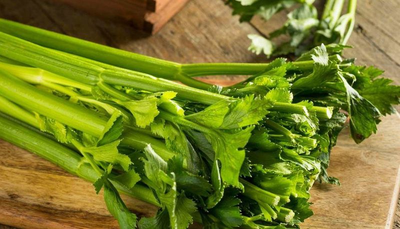 Celery: The Calorie-Negative Myth