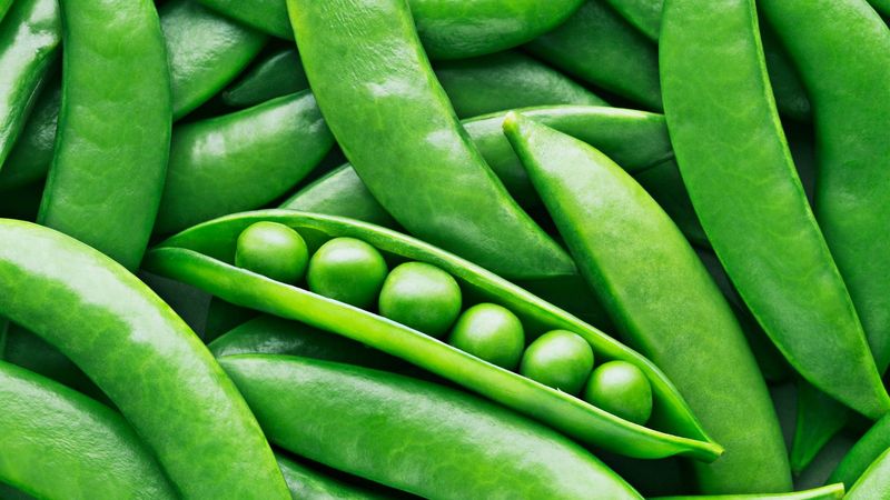 Peas: Tiny Green Protein Powerhouses