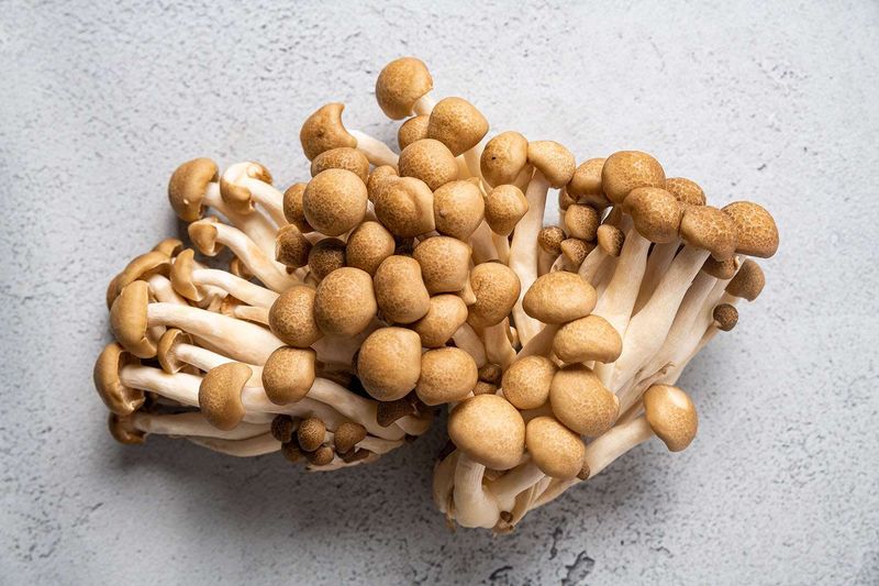 Beech Mushrooms