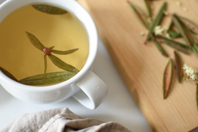 Labrador Tea