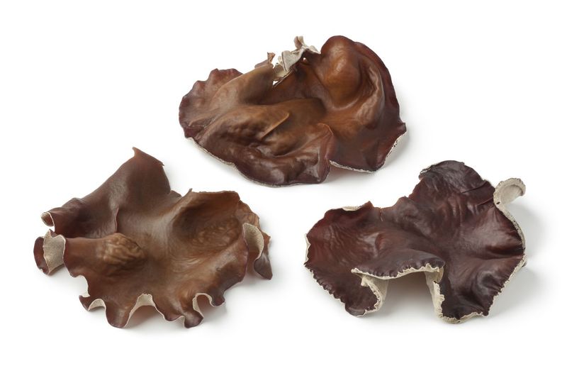 Wood Ear Mushrooms