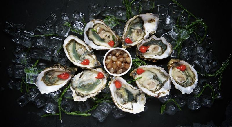 Oysters: Slurping from Street Food to Champagne Companion