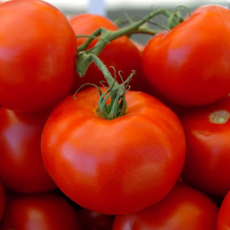 Tomatoes