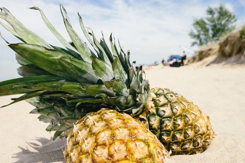 Pineapple