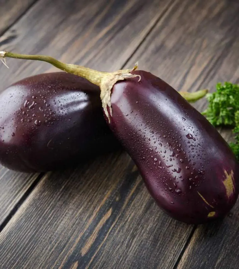 Eggplant