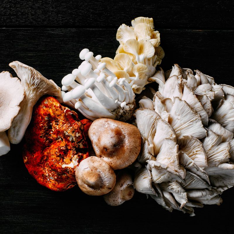 Myth: All Mushrooms Are Vitamin D Goldmines