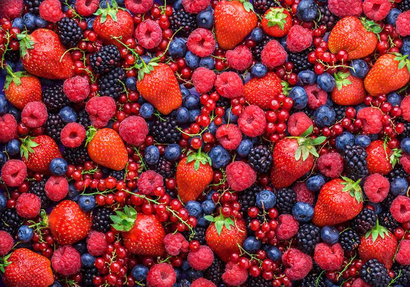 Nature's Colorful Medicine: Berries Fight Back