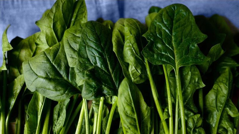 Leafy Greens